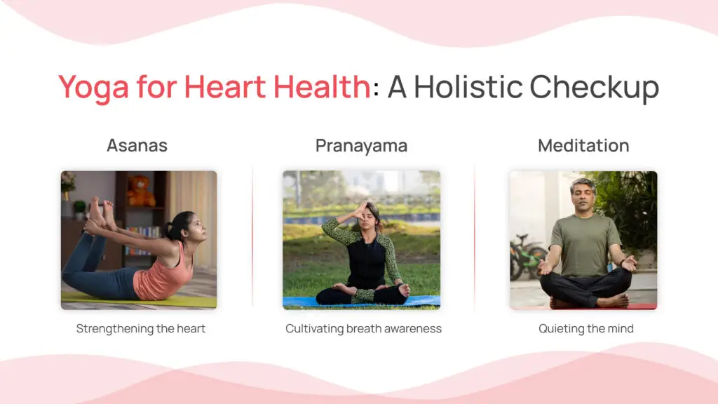 Yoga for Heart Health: A Holistic Checkup