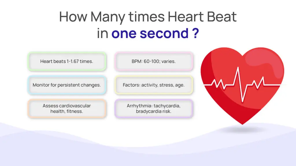 How Many Times Heart Beat in One Second?