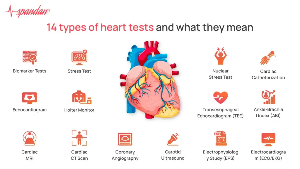 14 Types of Heart Tests and What they Mean?