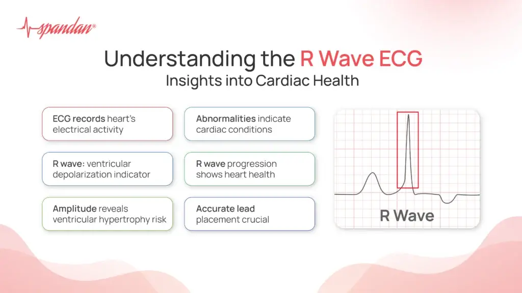 Understanding the R Wave ECG: Insights into Cardiac Health