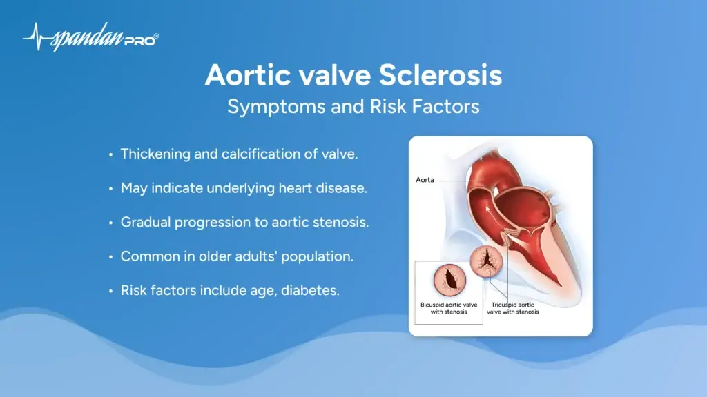 Aortic Valve Sclerosis : Symptoms and Risk Factors