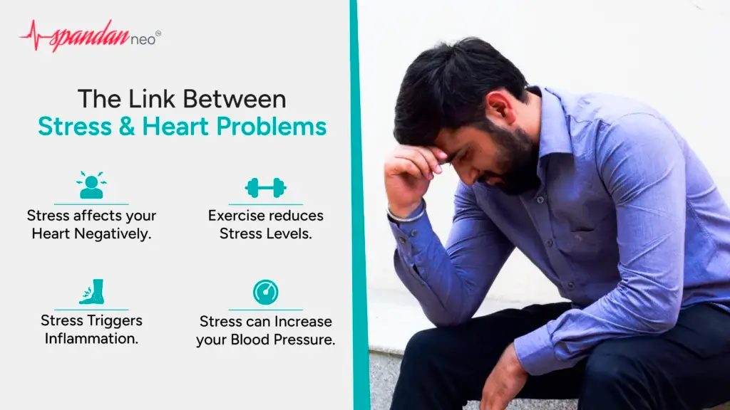 The Link Between Stress and Heart Problems