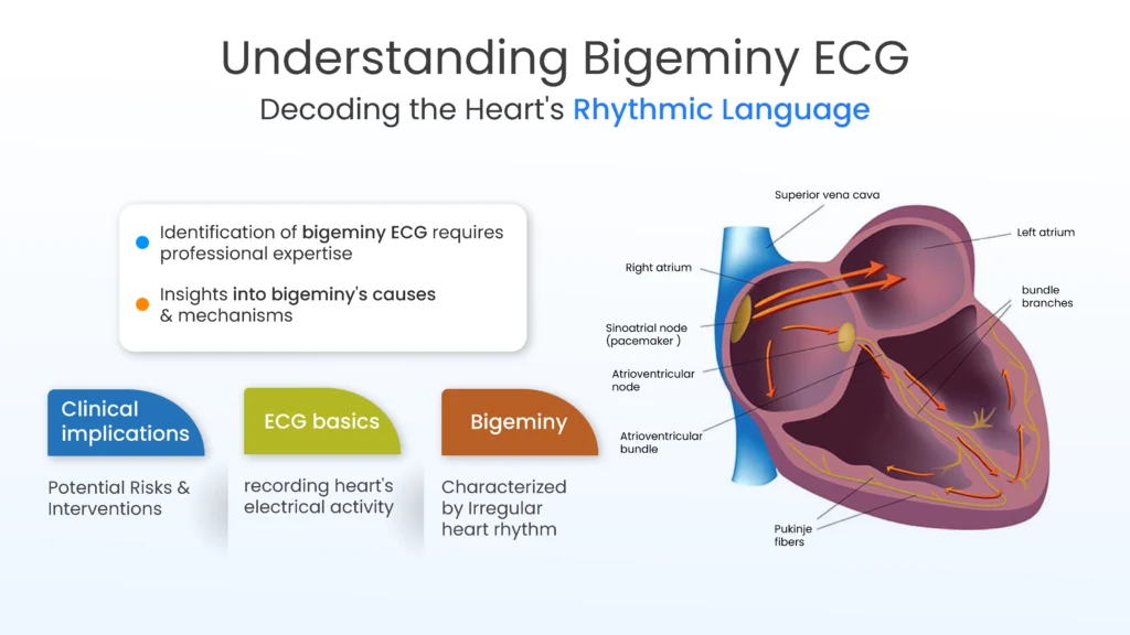 Bigeminy ECG: Meaning, Symptoms and Treatment