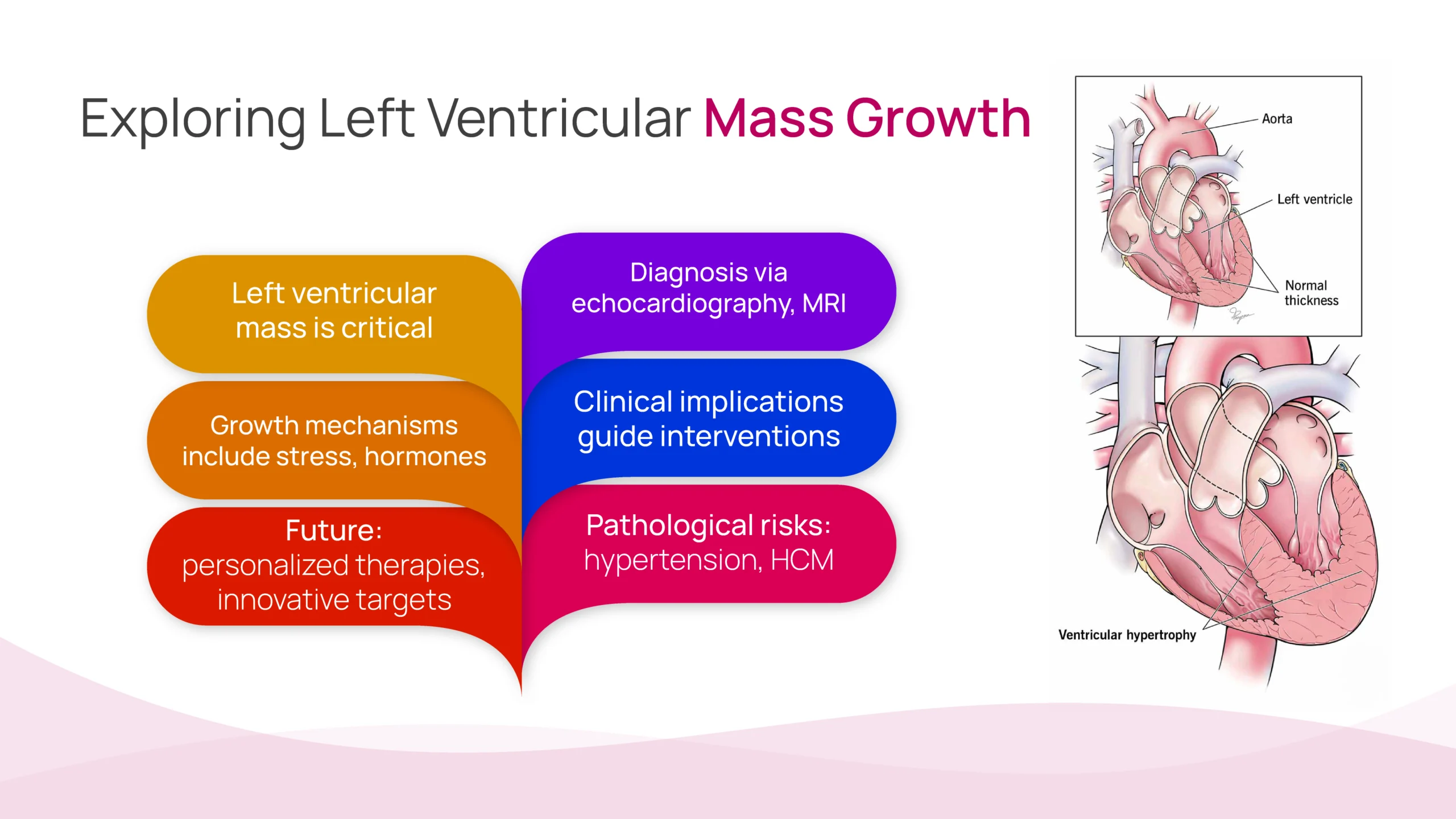 left Ventricular mass