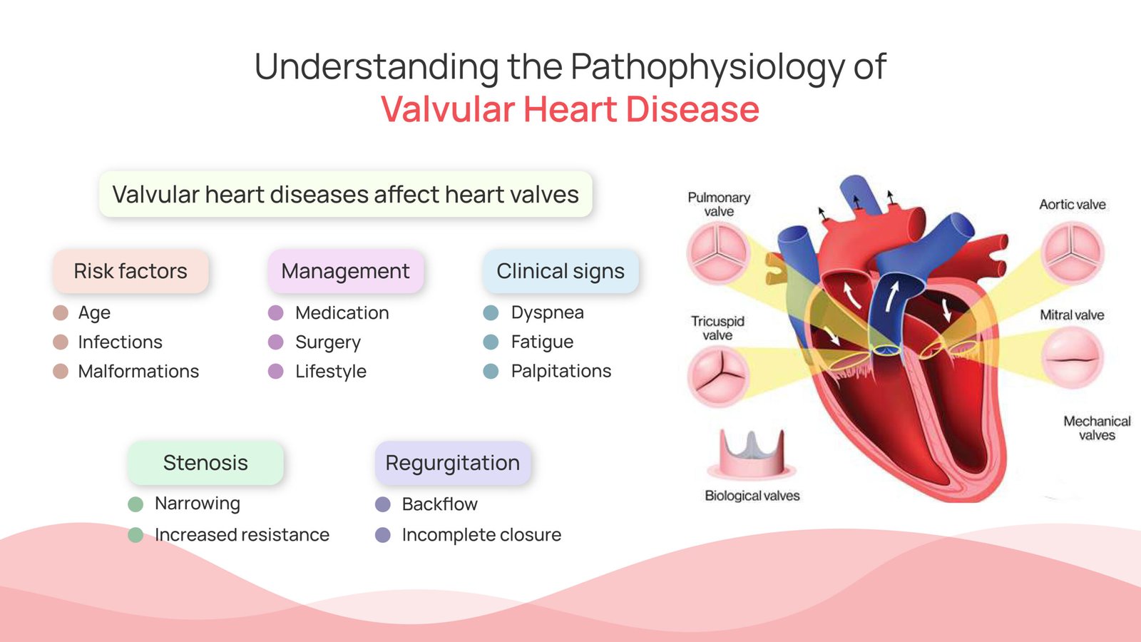 pathophysiology of valvular heart disease