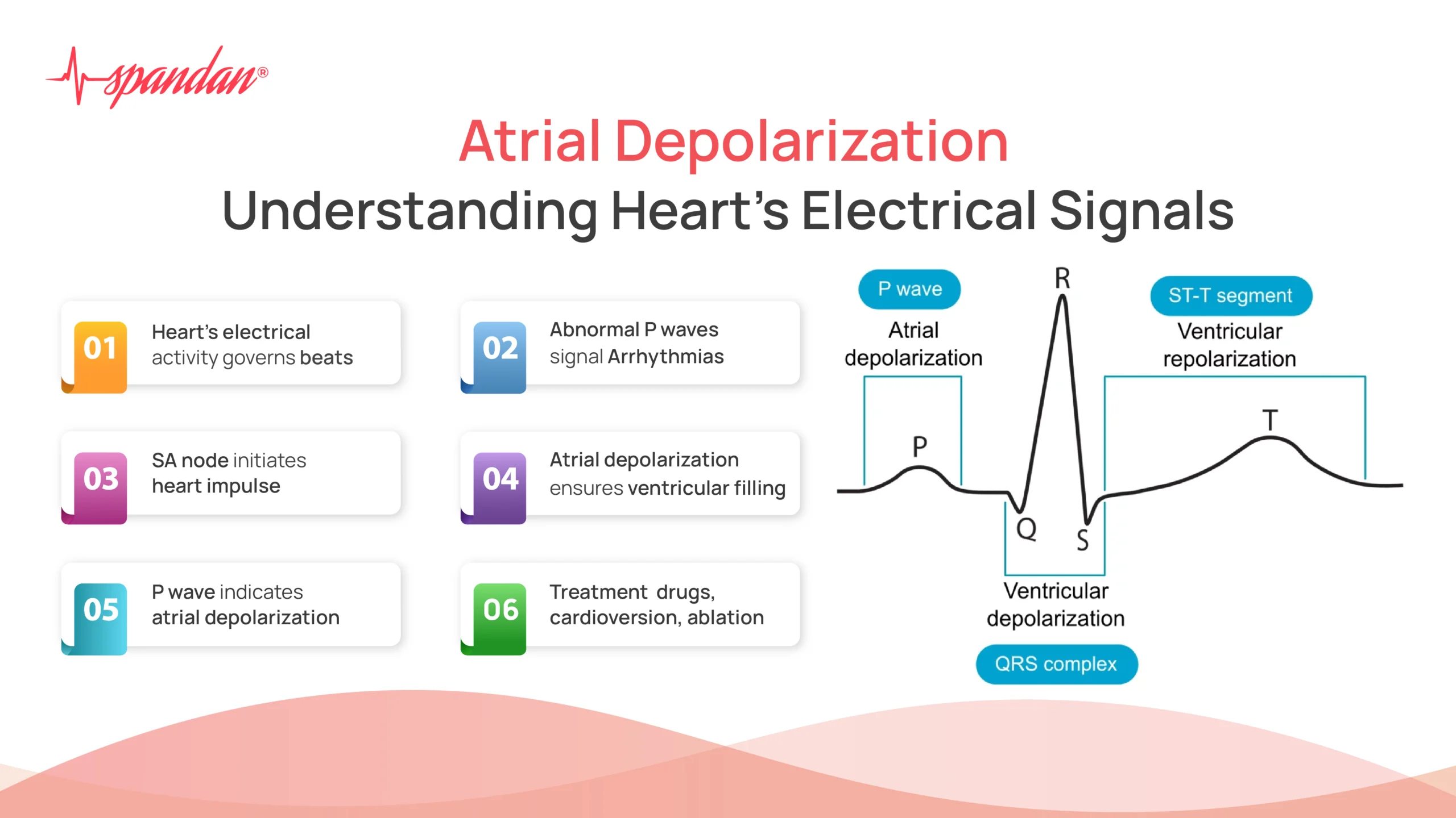 atrial depolarization