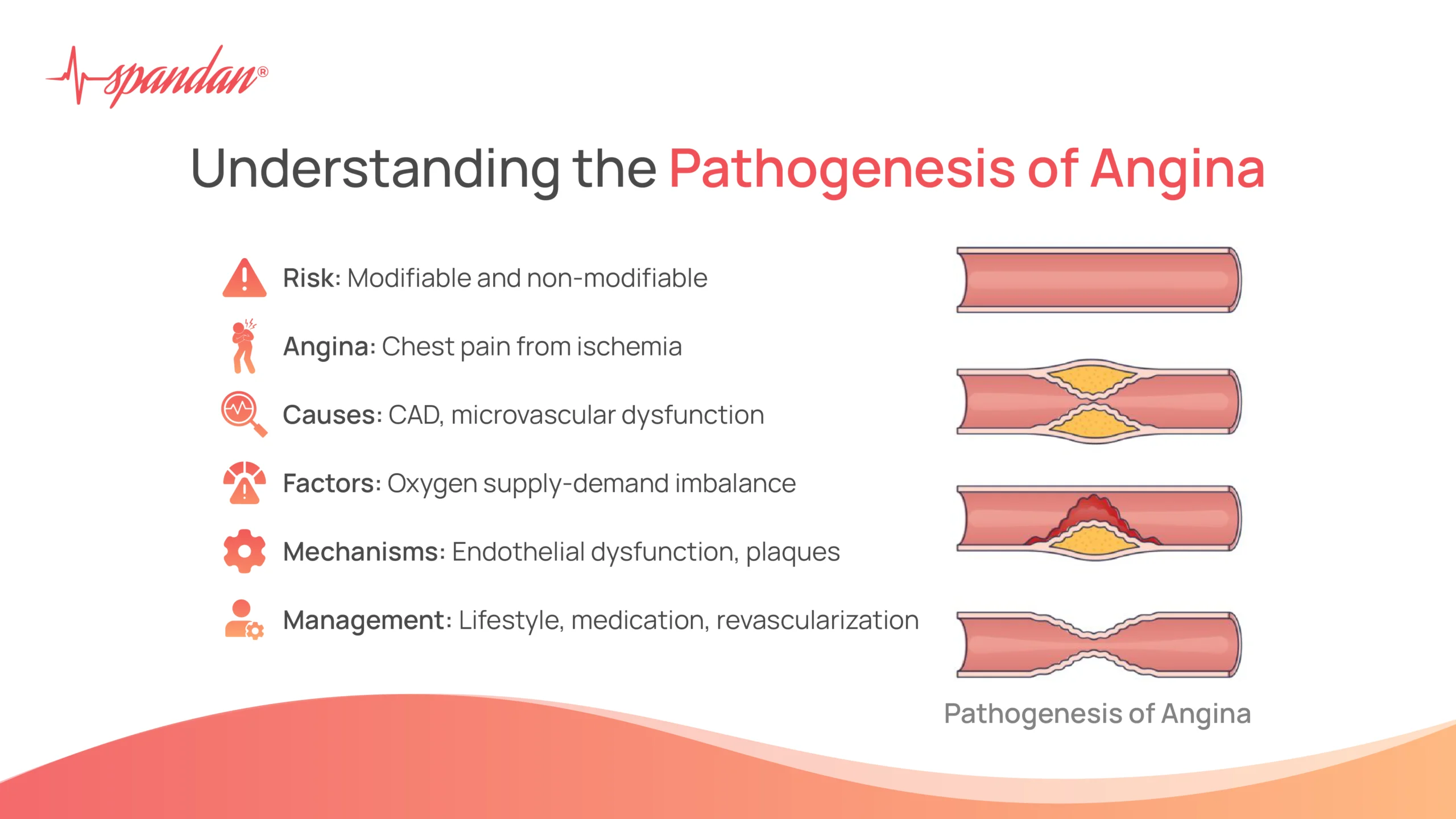 pathogenesis of angina