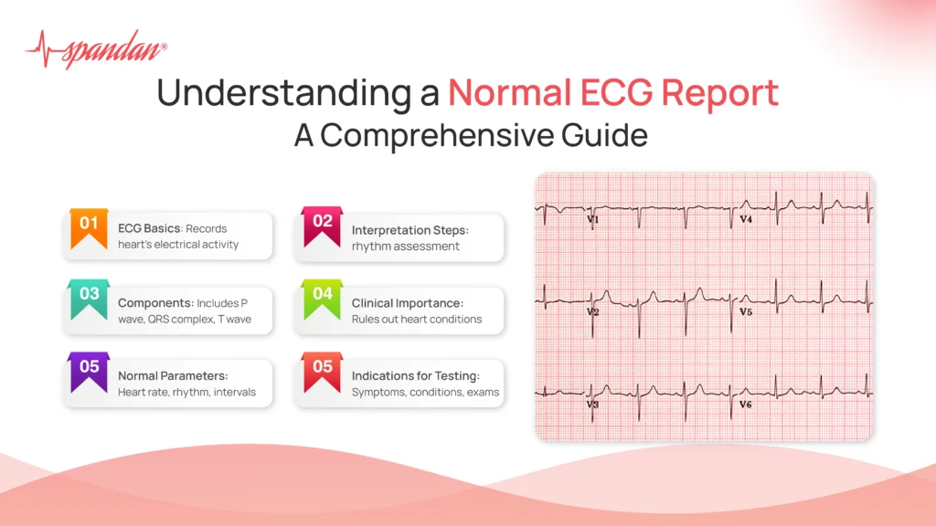 Understanding a Normal ECG Report: A Comprehensive Guide