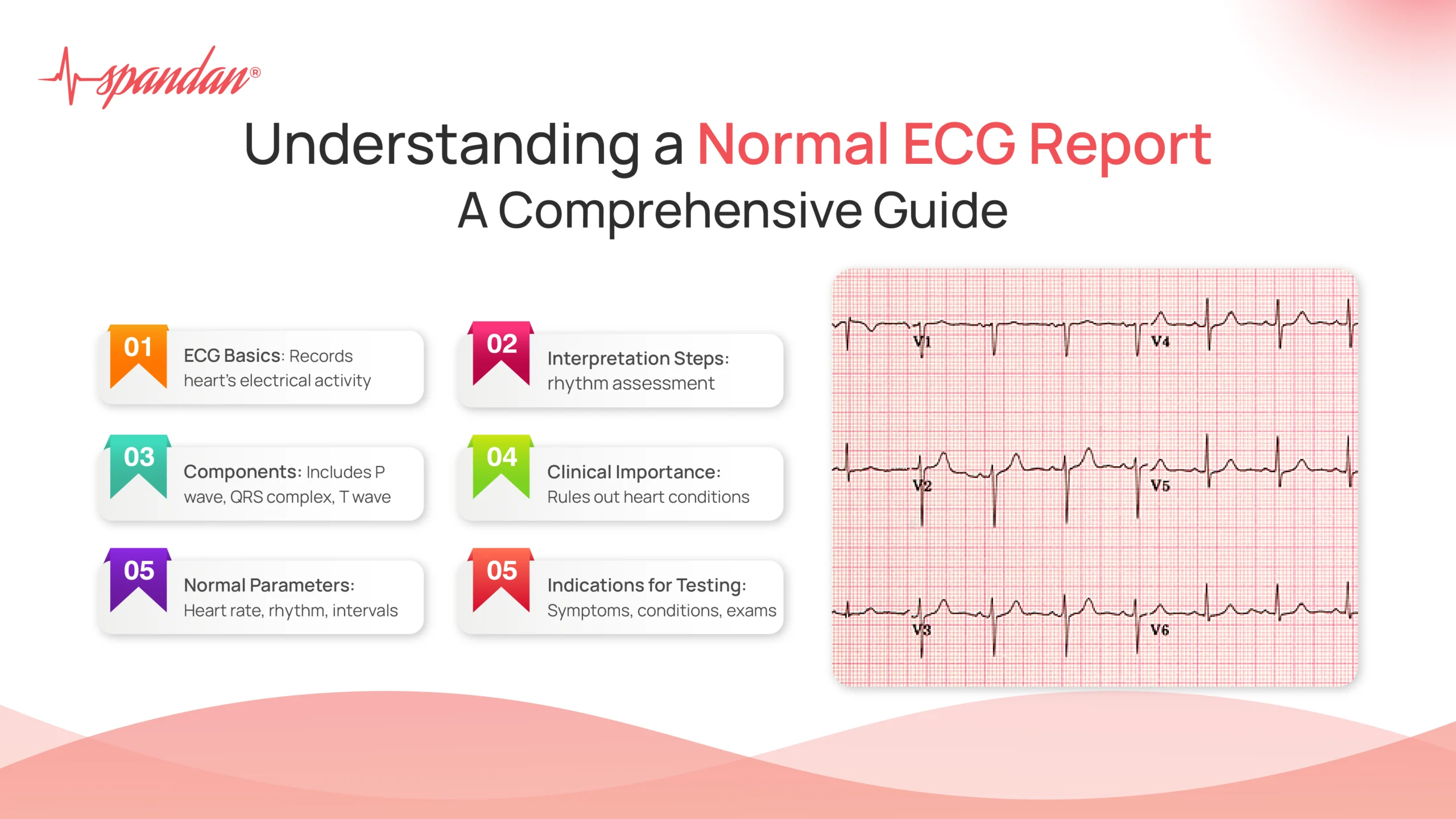 normal ecg report