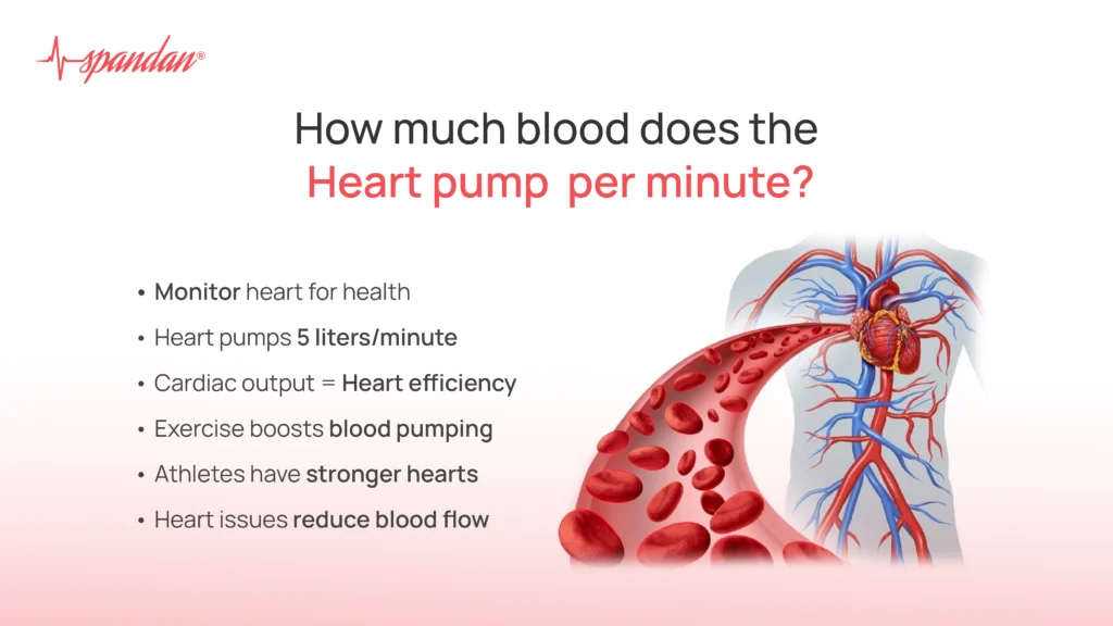 how much blood does the heart pump per minute