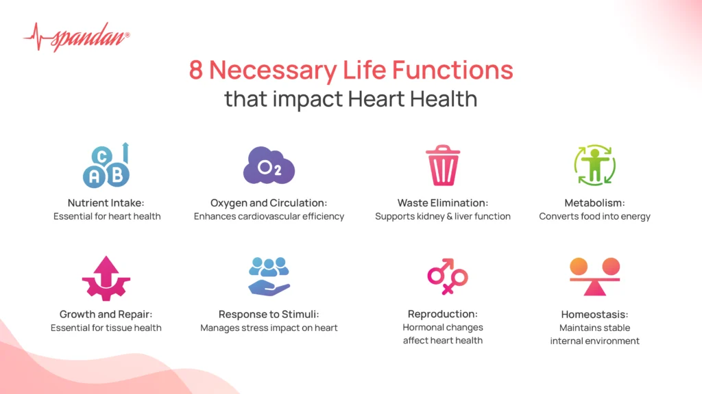 8 necessary life functions