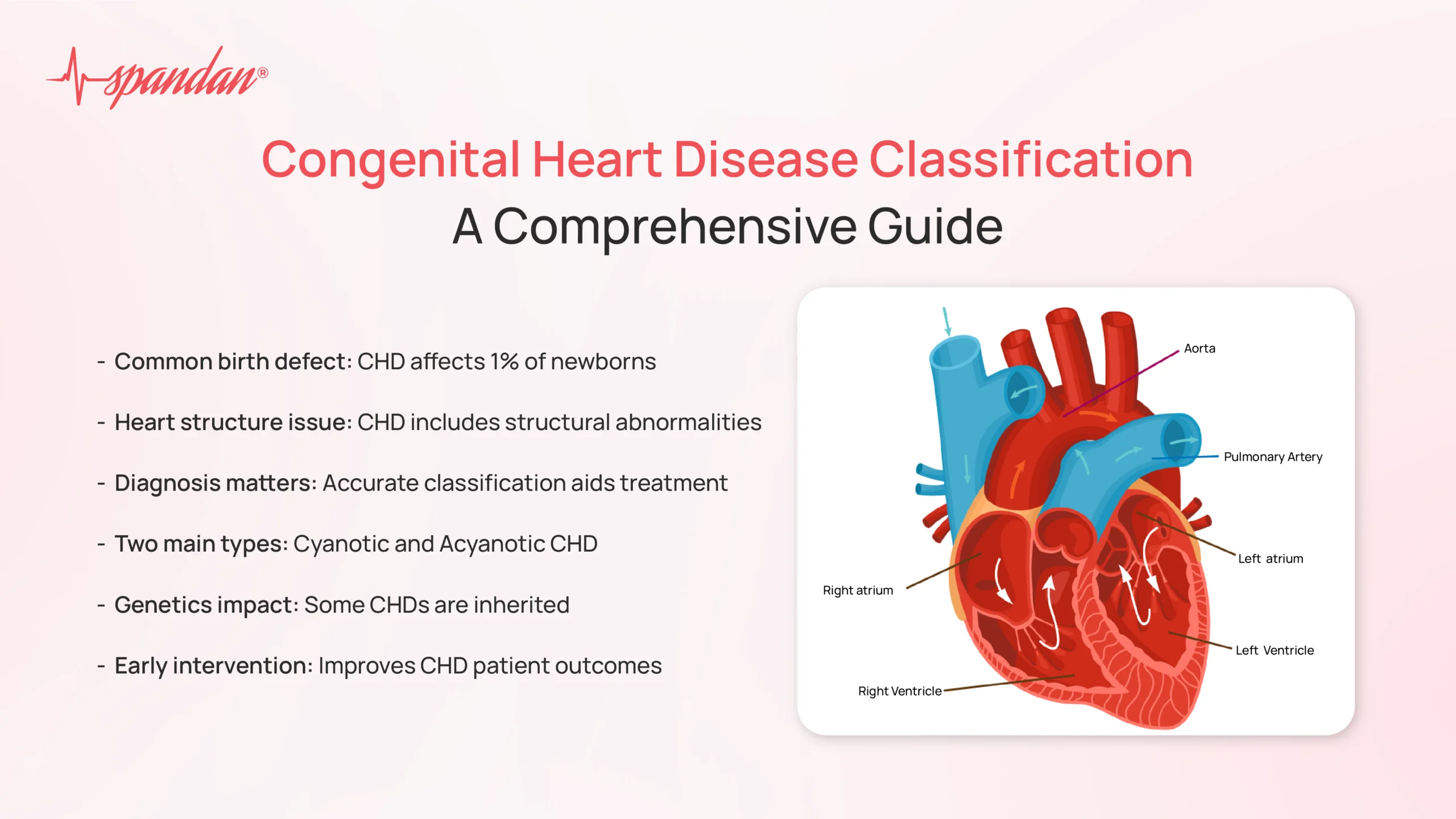 congenital heart disease classification