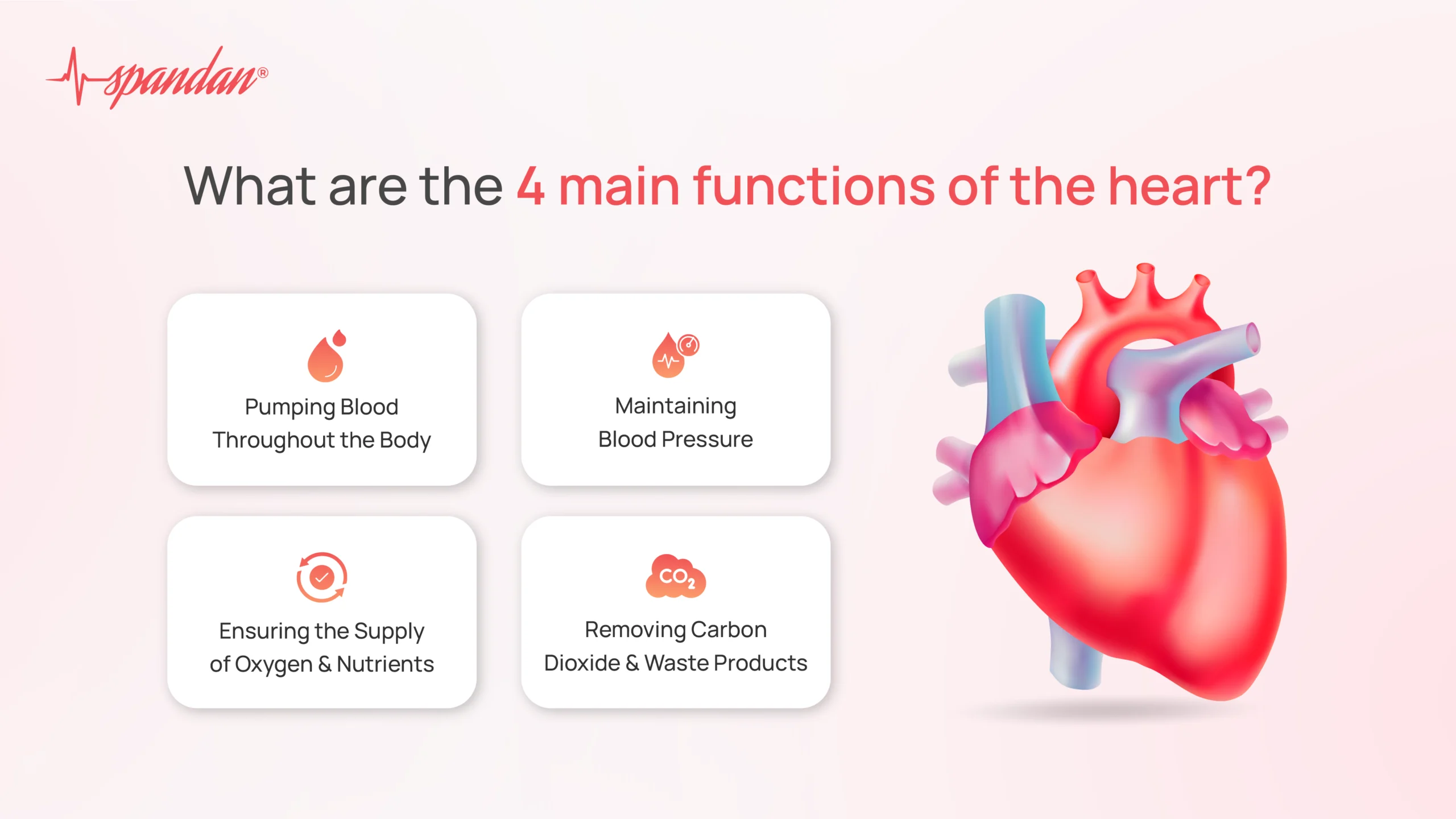 what are the 4 main functions of the heart