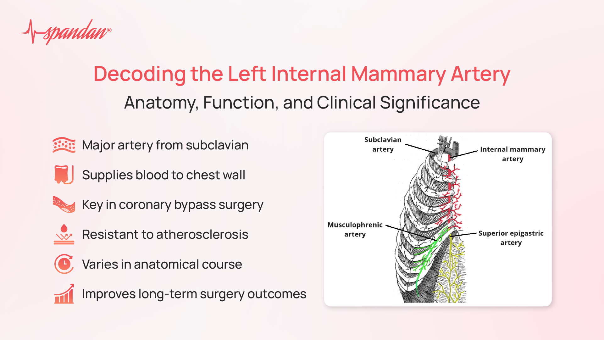 left internal mammary artery