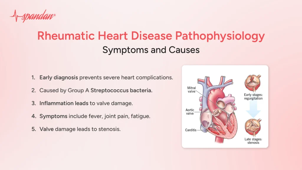 rheumatic heart disease pathophysiology