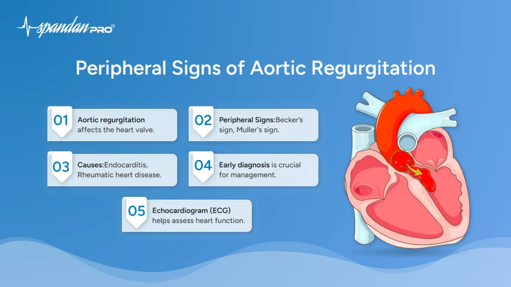 peripheral signs of aortic regurgitation