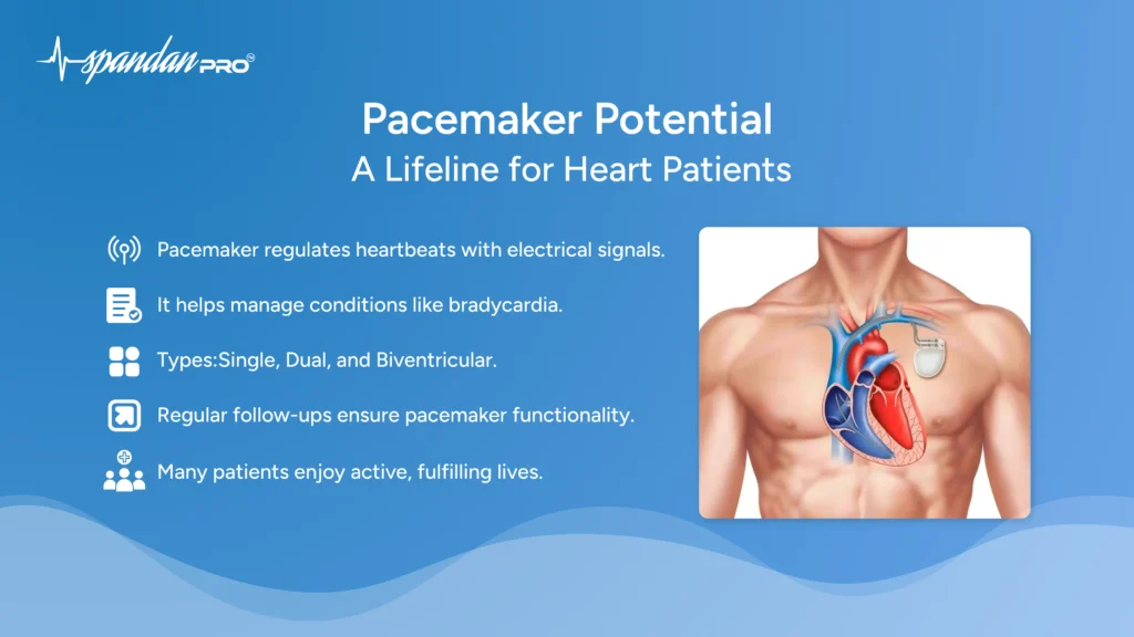 pacemaker potential