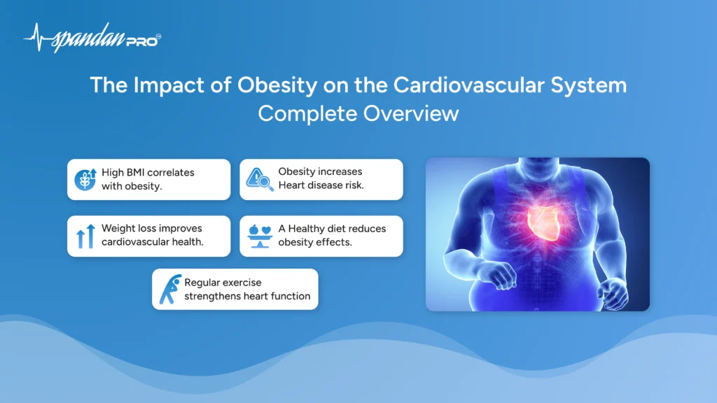 The Impact of Obesity on the Cardiovascular System