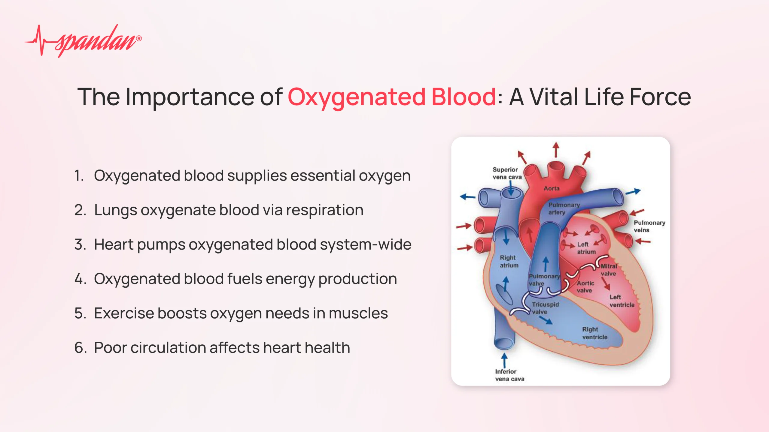 oxygenated blood