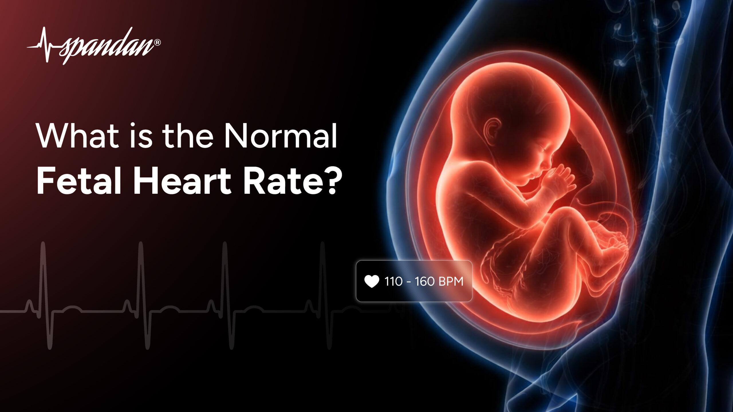 normal fetal heart rate