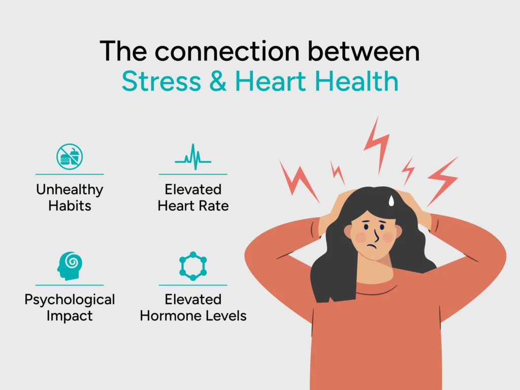 The Link Between Stress and Heart Problems