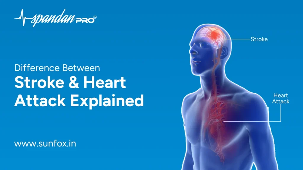 difference between stroke and heart attack