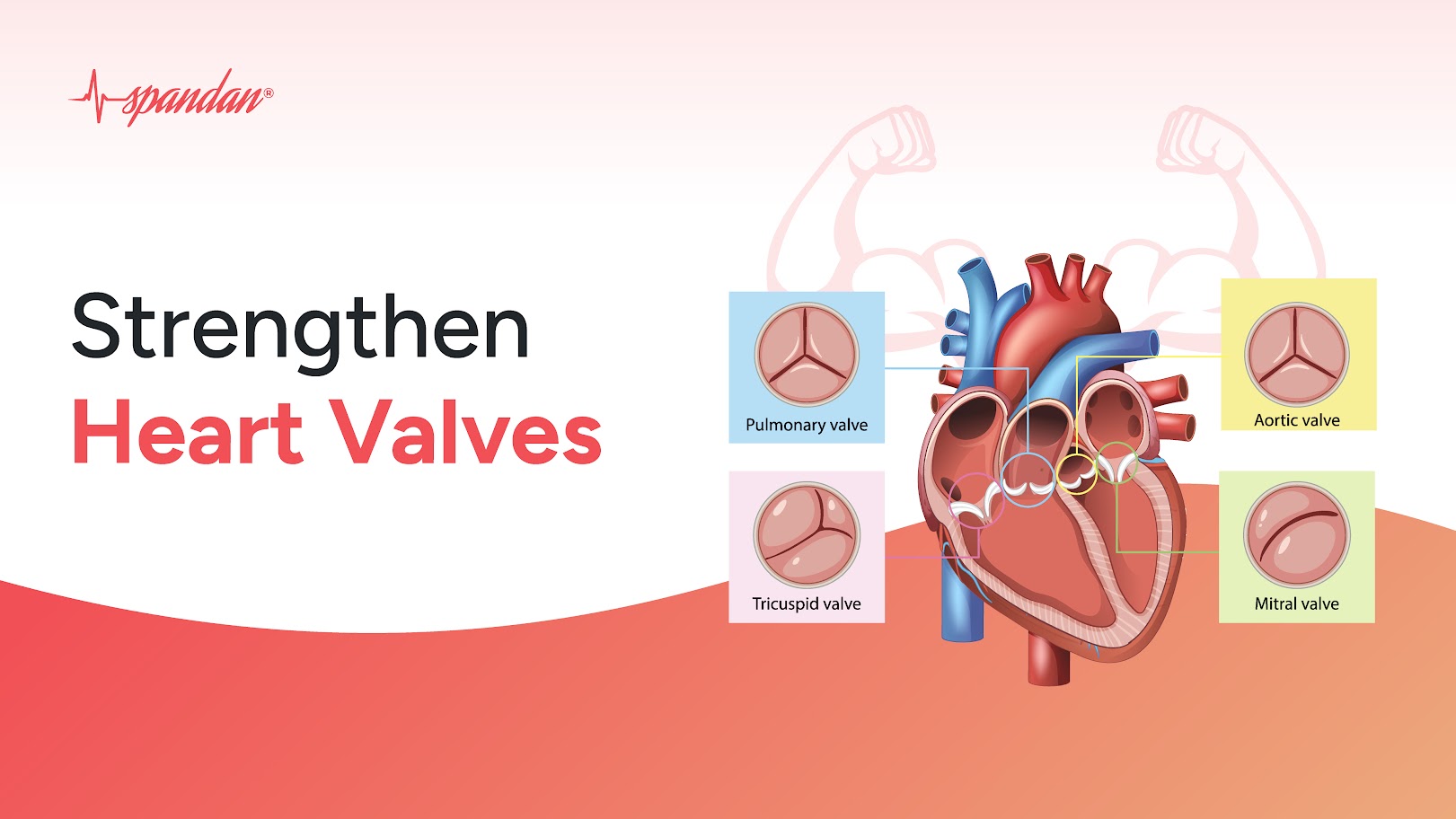 how to strengthen heart valves naturally