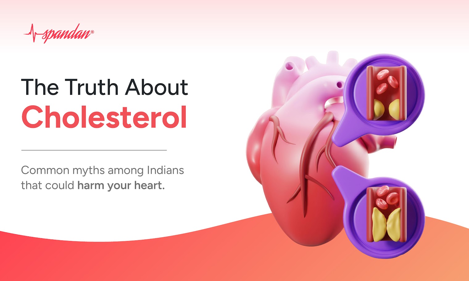 cholesterol myths